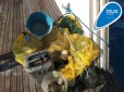 Litter collected from reefs in the Red Sea