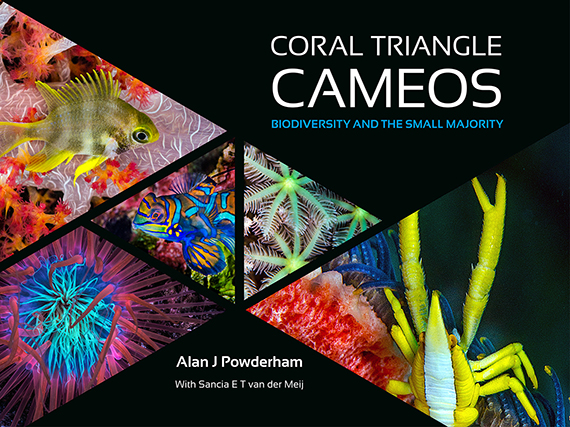 Coral Triangle Cameos - cover